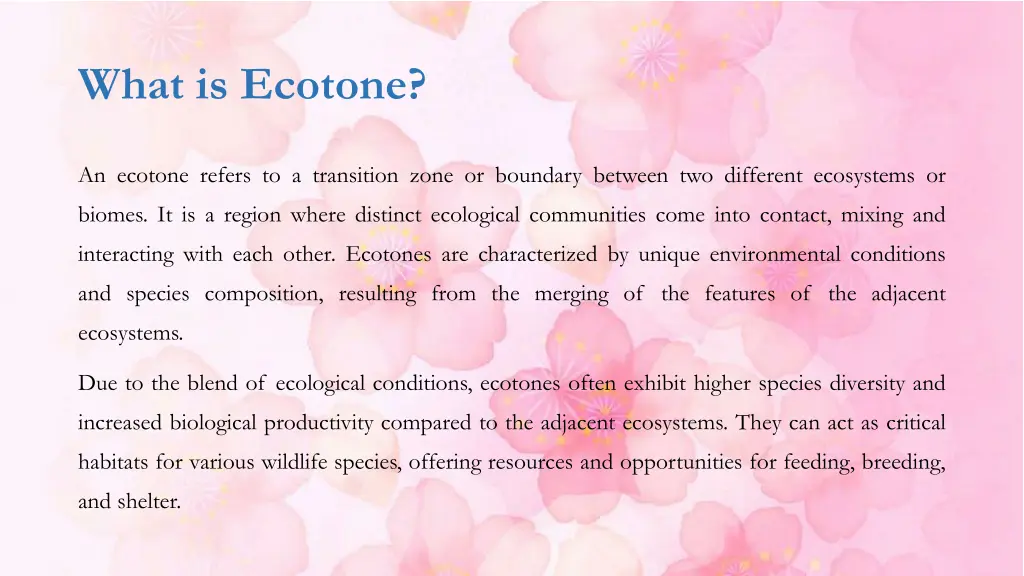 what is ecotone
