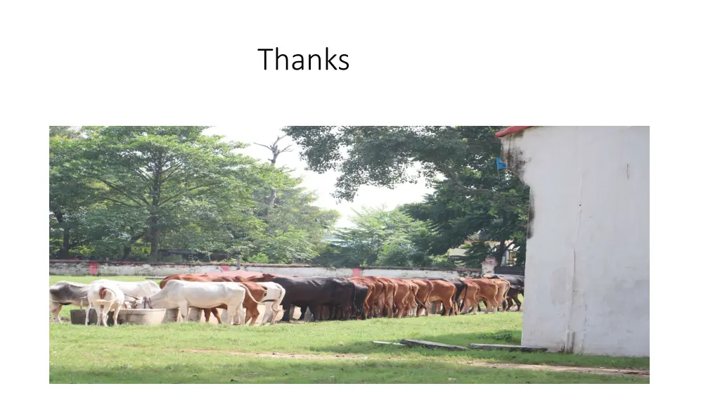 thanks