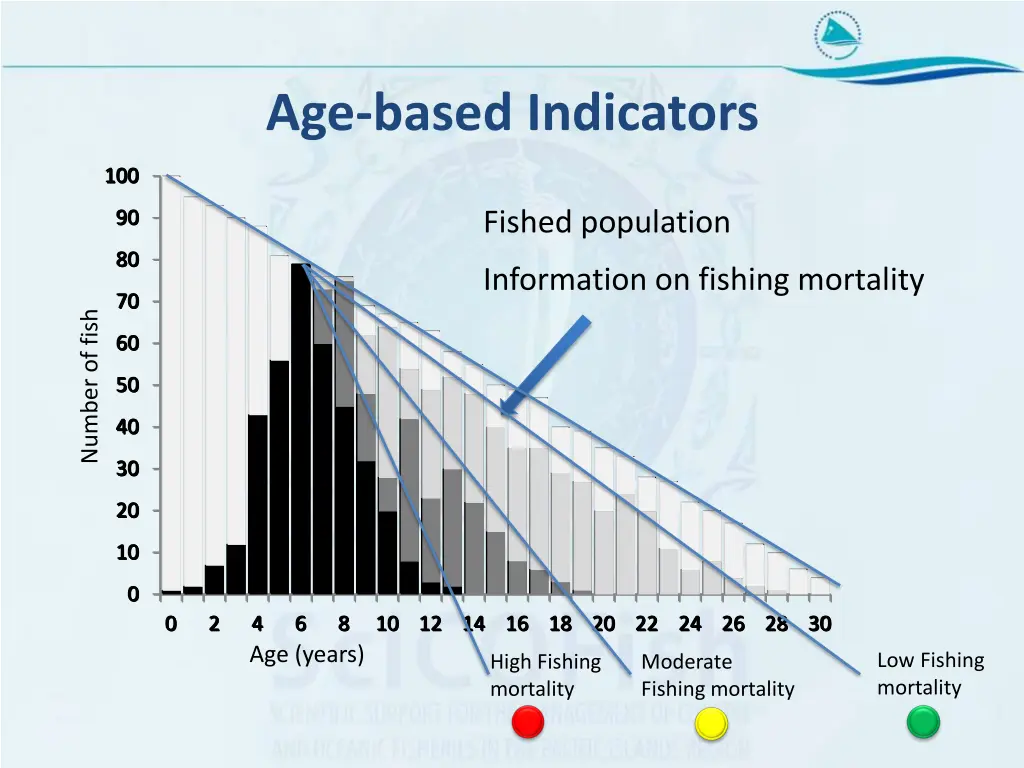 age based indicators