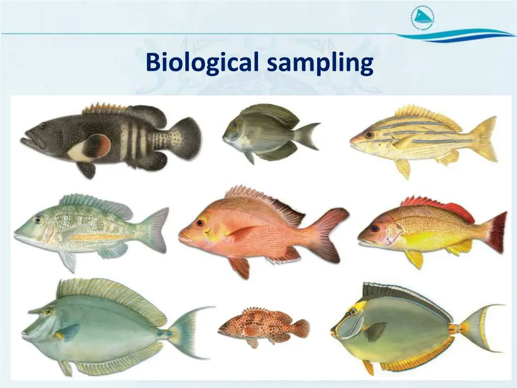 biological sampling