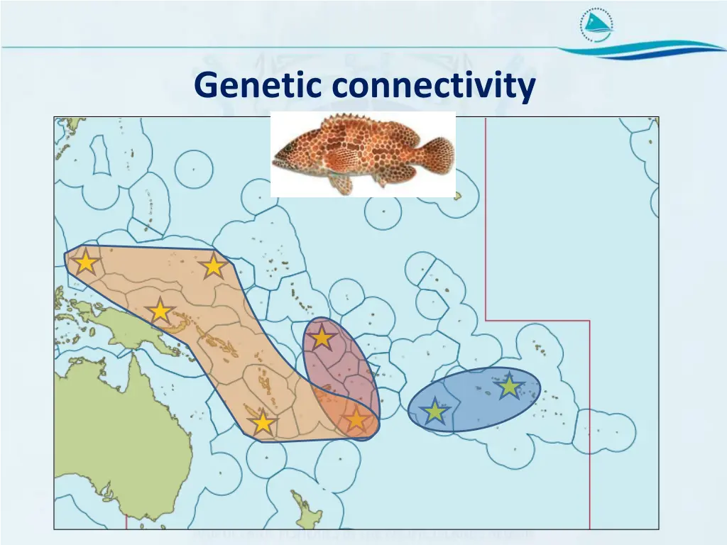 genetic connectivity