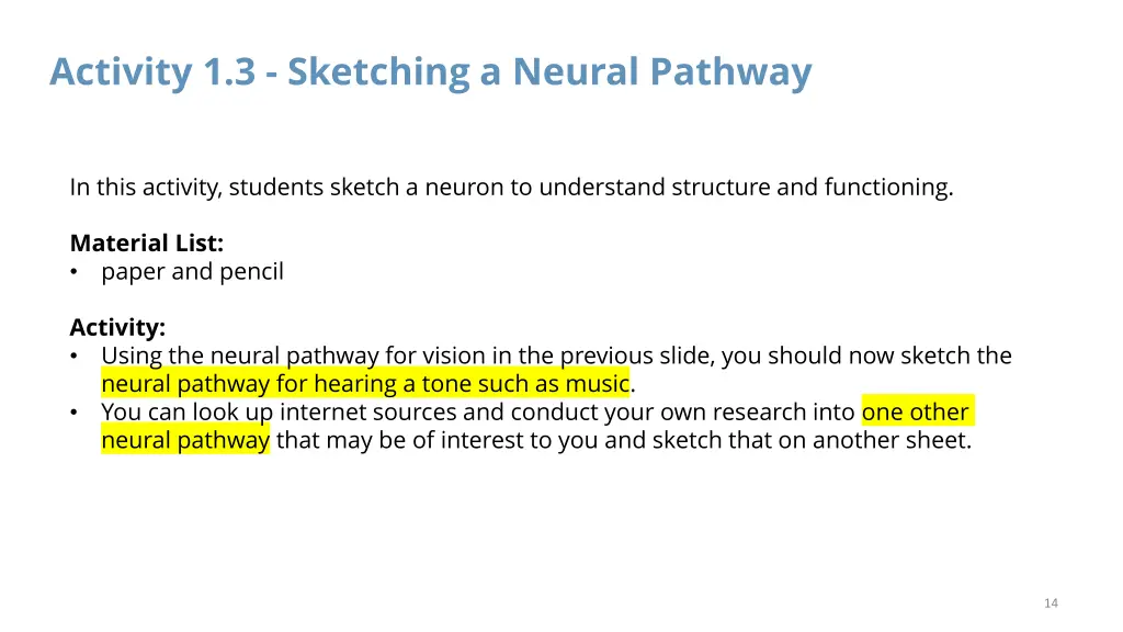 activity 1 3 sketching a neural pathway