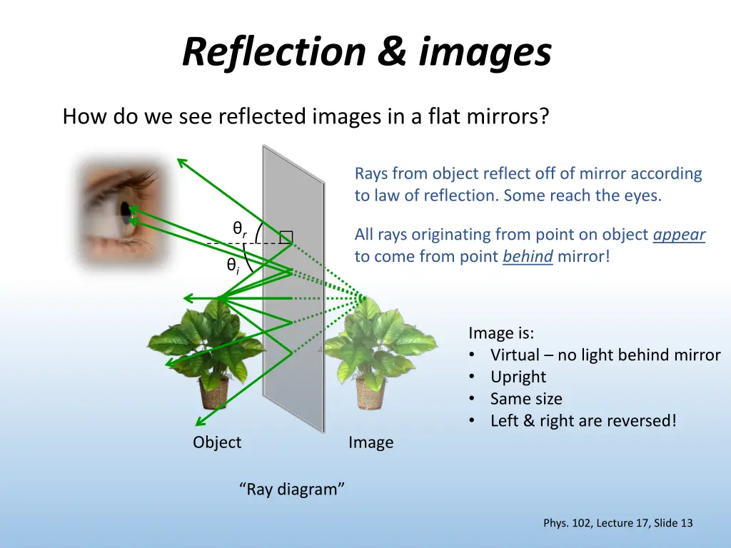 reflection images