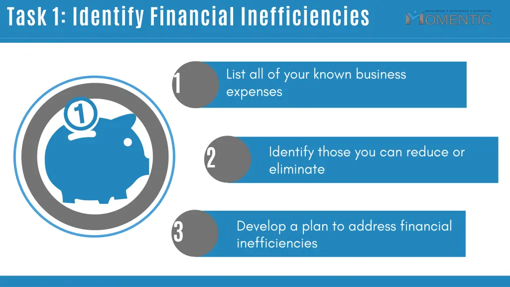 task 1 identify financial inefficiencies
