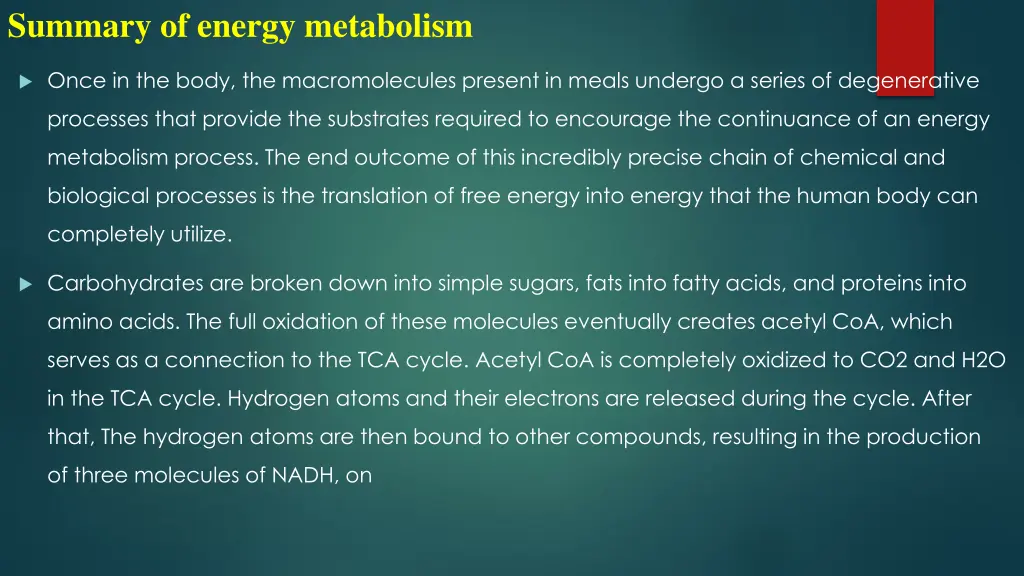 summary of energy metabolism
