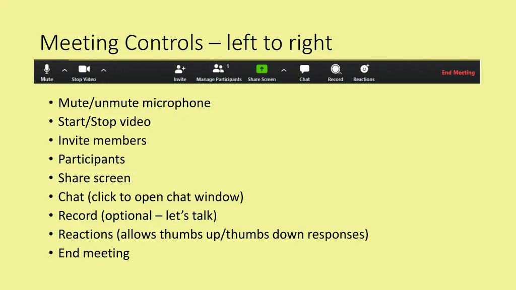 meeting controls left to right