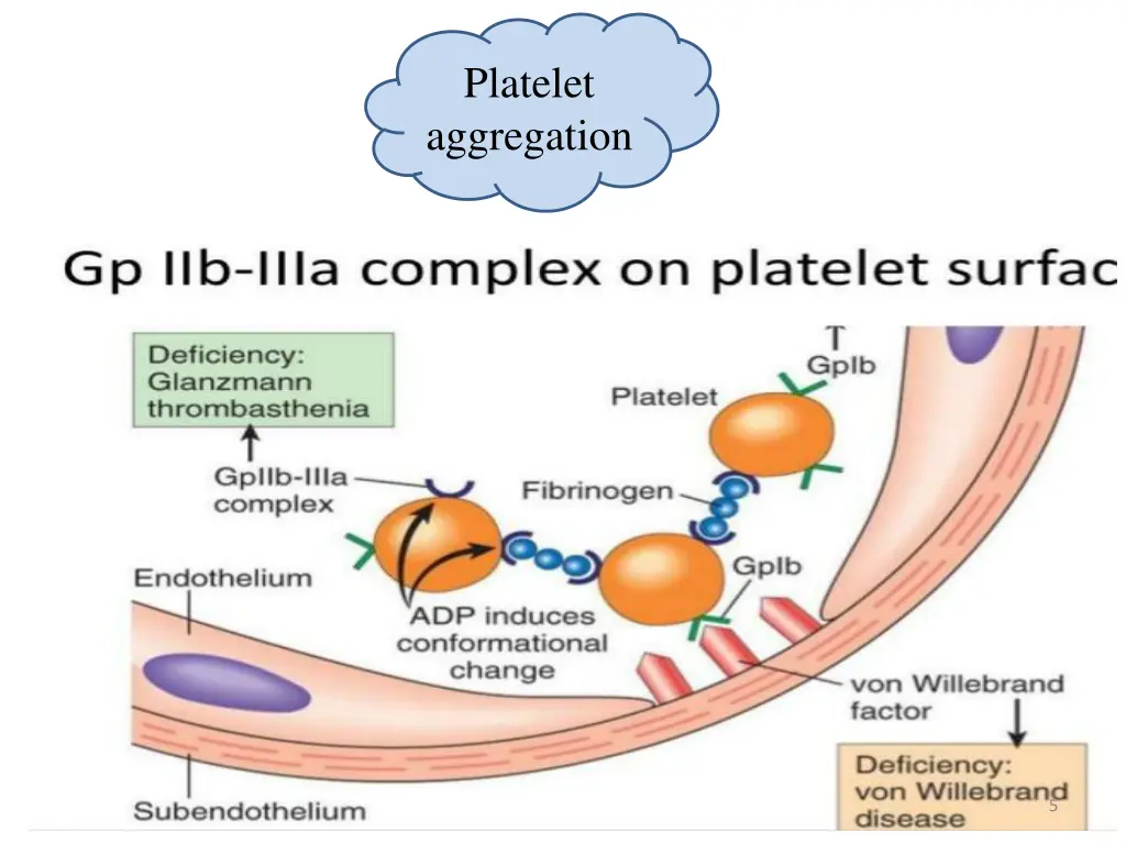 platelet aggregation