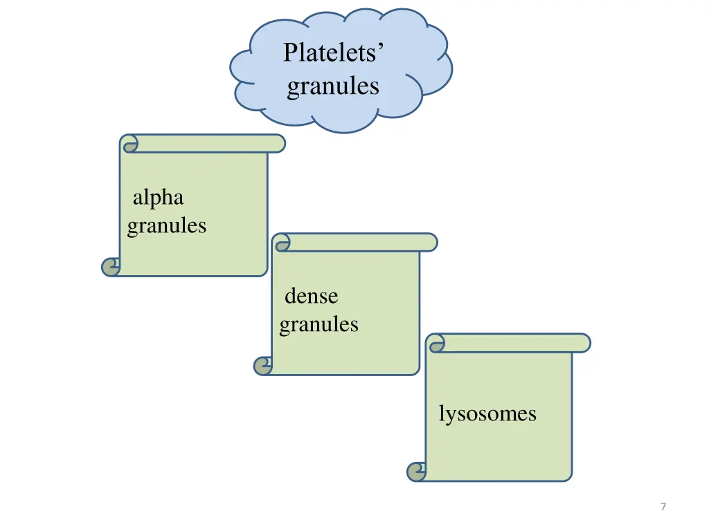 platelets granules