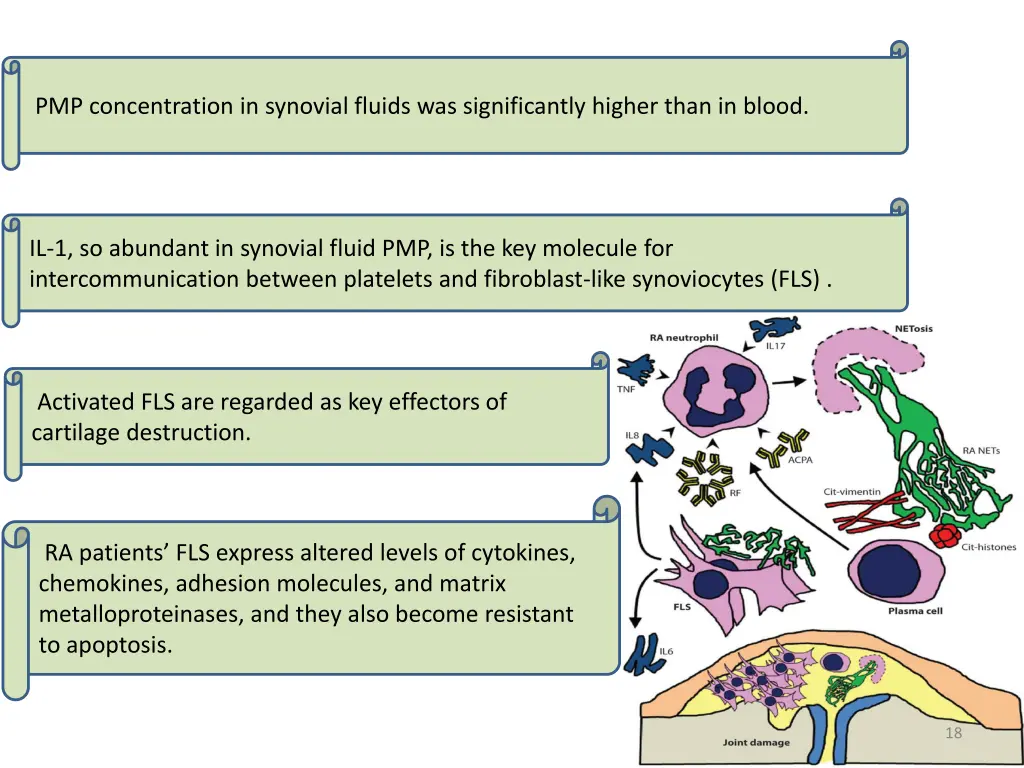 signaling pathways involve in net formation