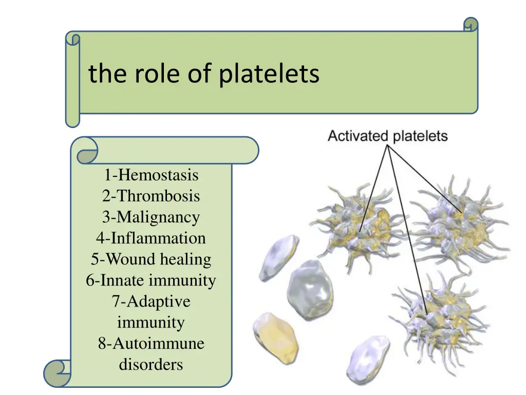 the role of platelets