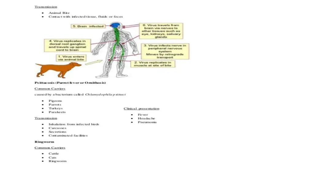 slide12