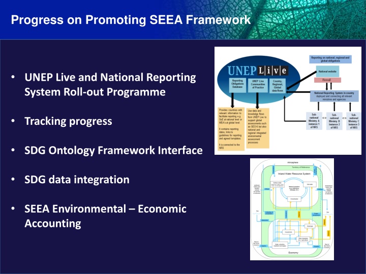 progress on promoting seea framework