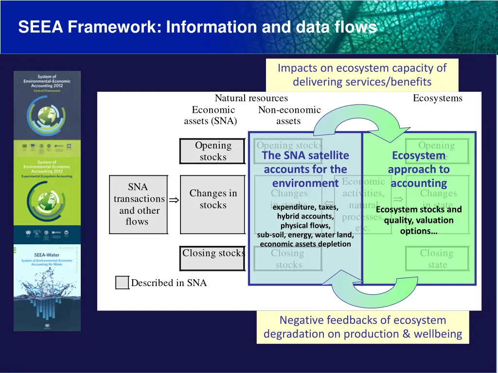 seea framework information and data flows