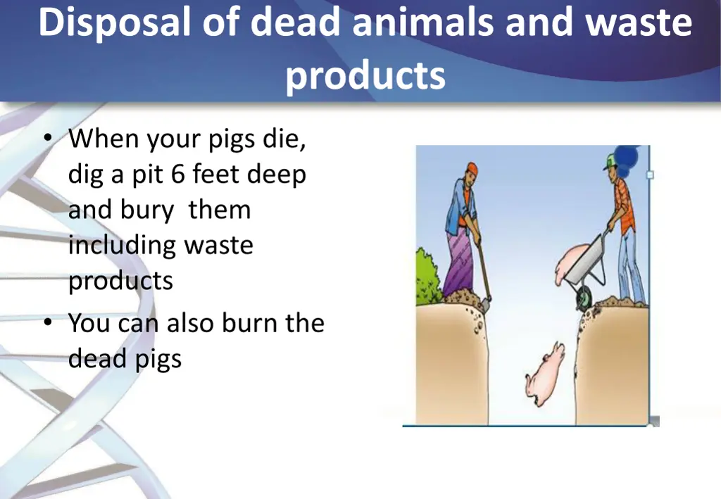 disposal of dead animals and waste products
