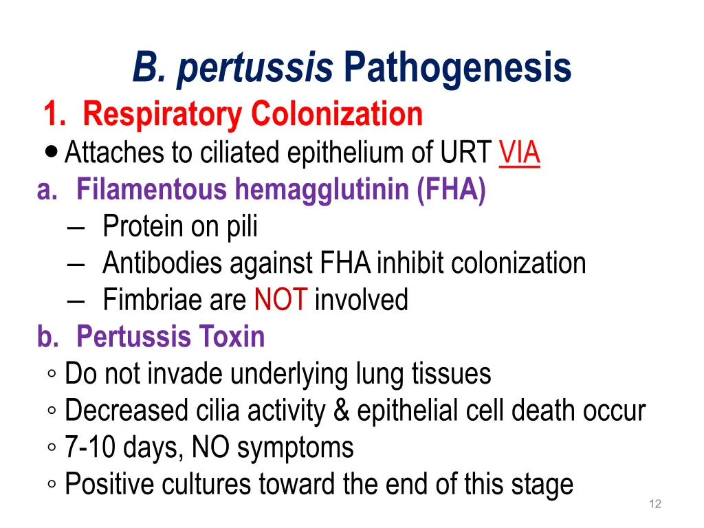 b pertussis pathogenesis 1 respiratory
