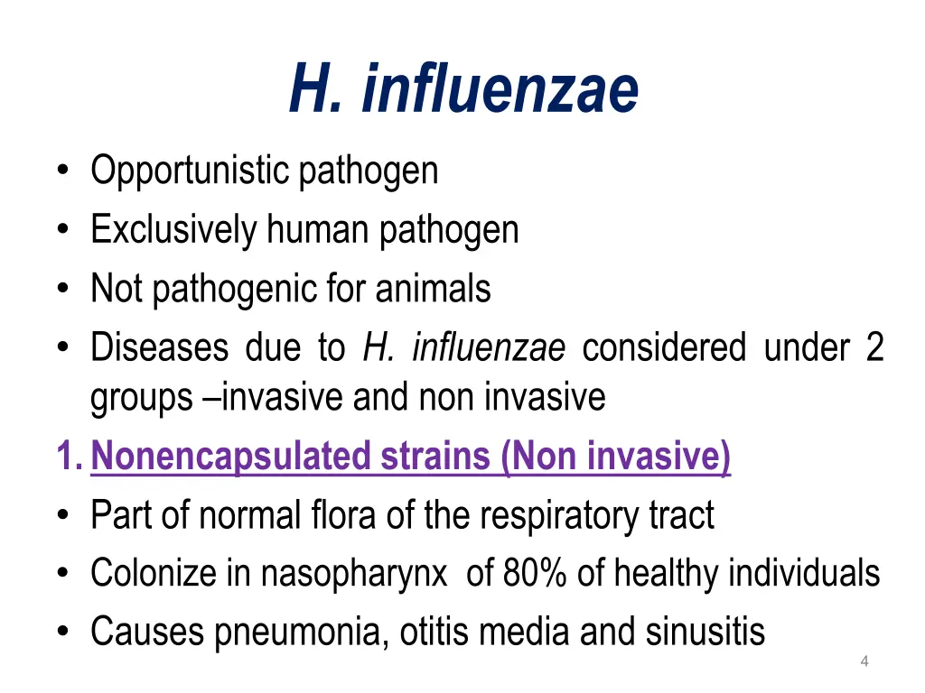 h influenzae