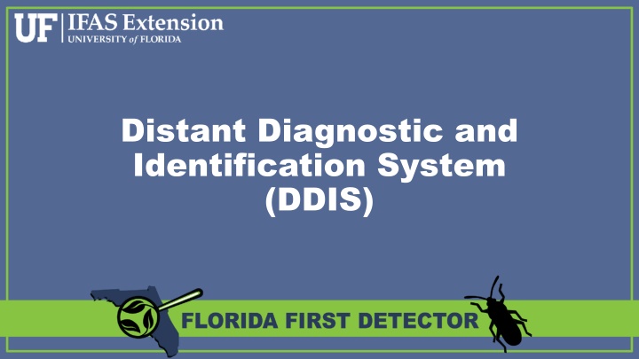 distant diagnostic and identification system ddis