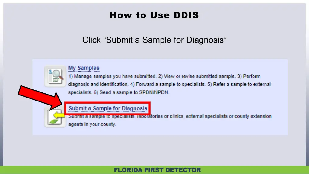 how to use ddis 2