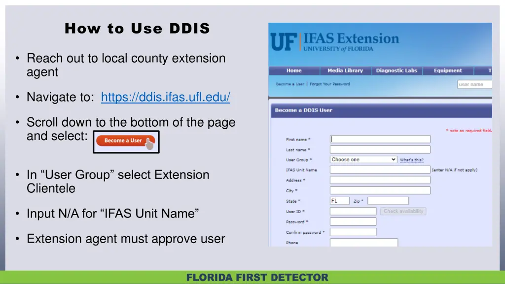 how to use ddis