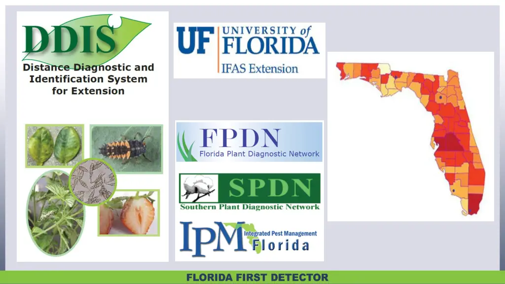 slide2