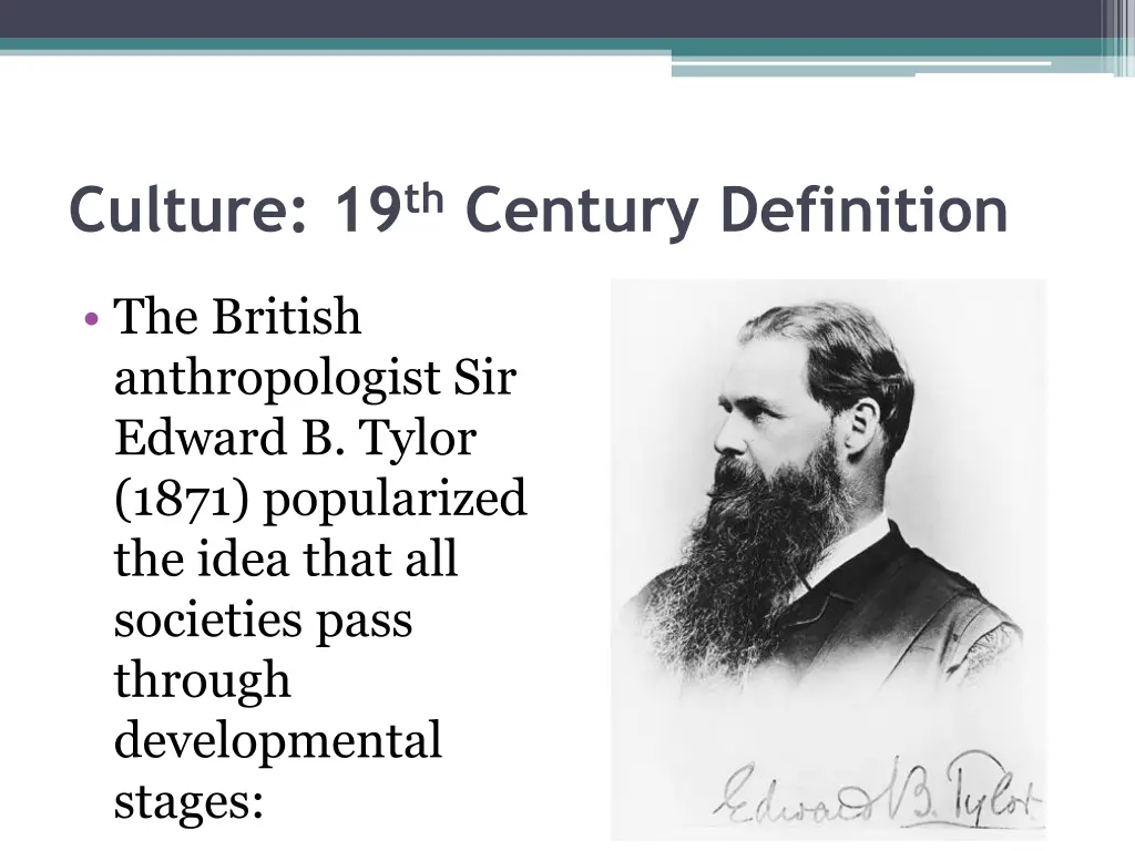 culture 19 th century definition