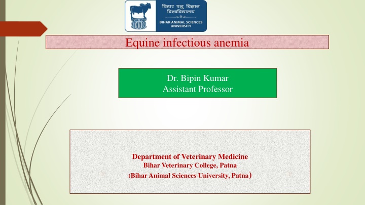 equine infectious anemia