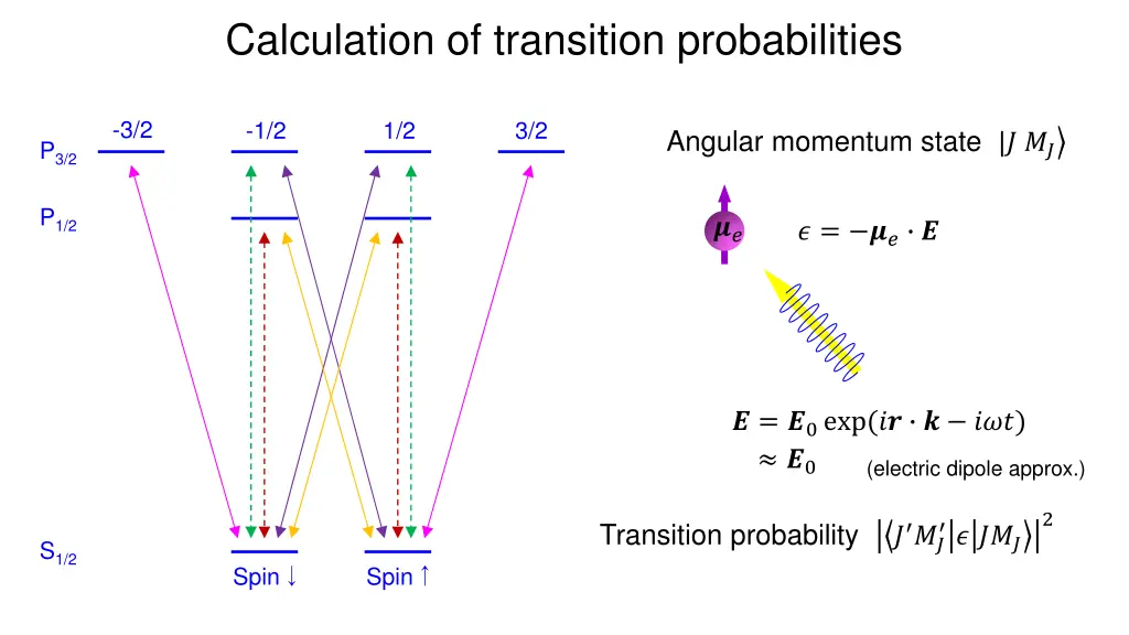 calculation of transition probabilities
