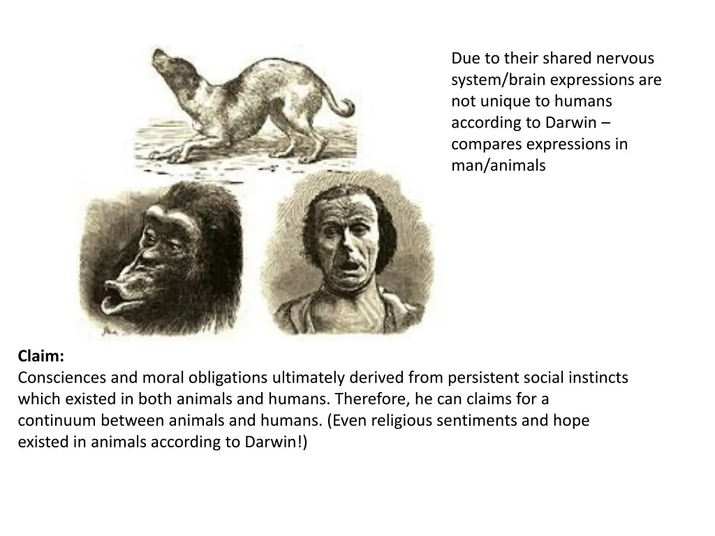 due to their shared nervous system brain