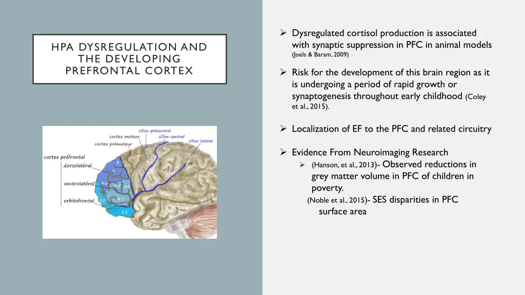 dysregulated cortisol production is associated