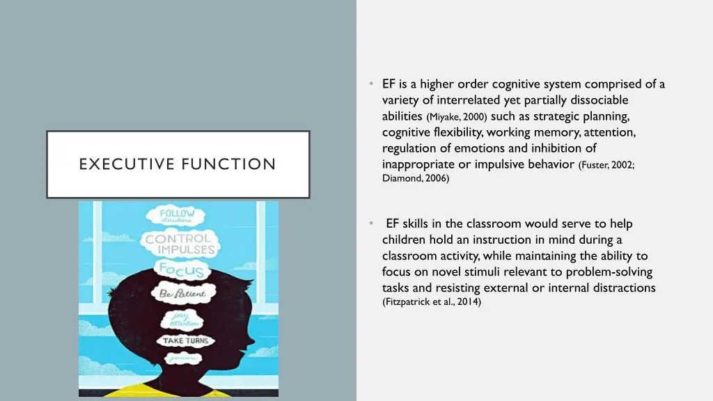 ef is a higher order cognitive system comprised