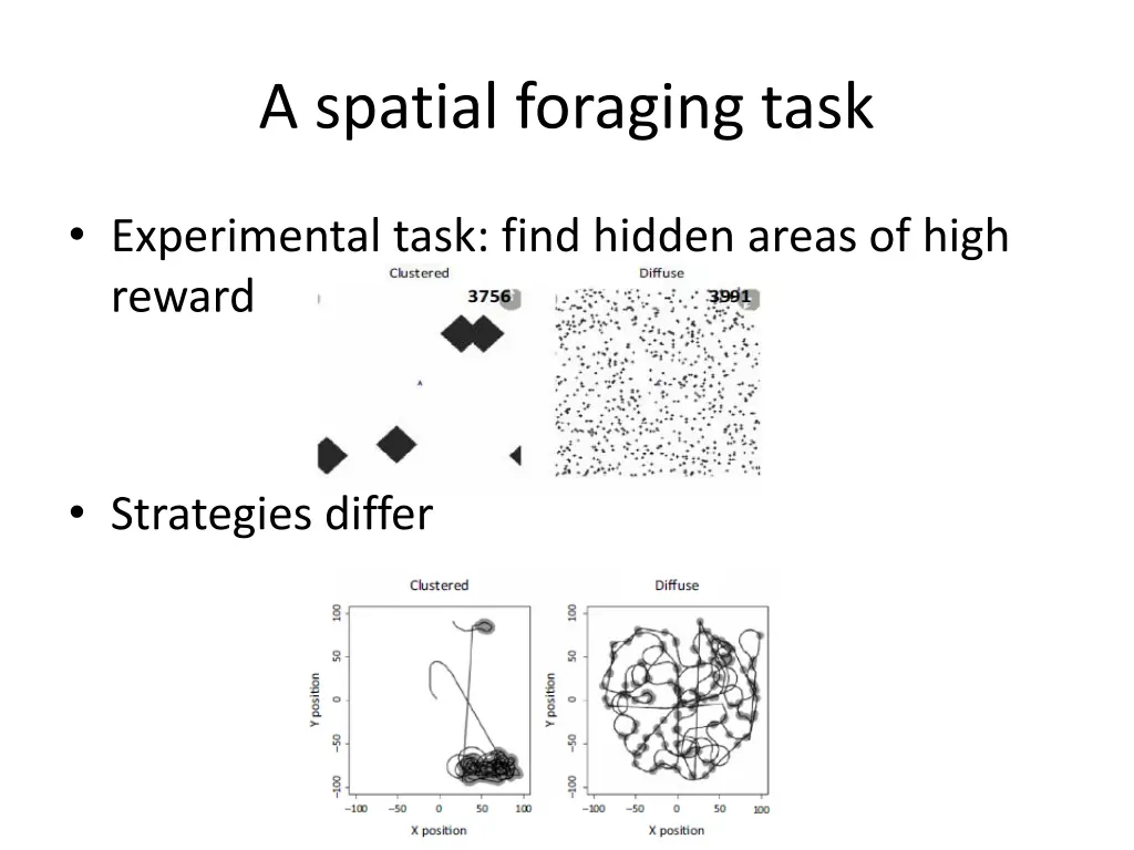 a spatial foraging task