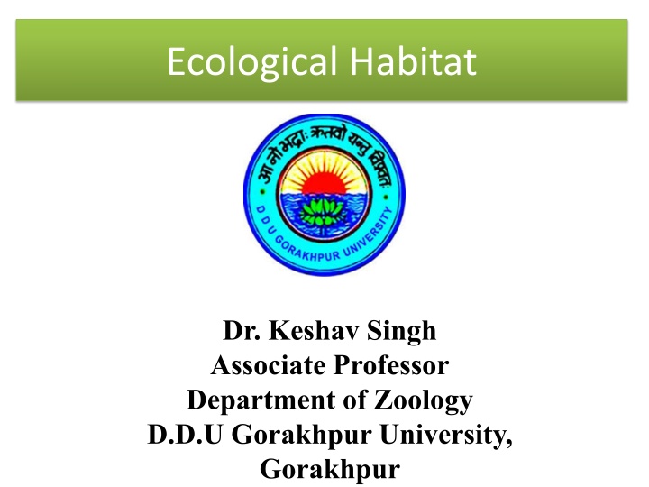 ecological habitat
