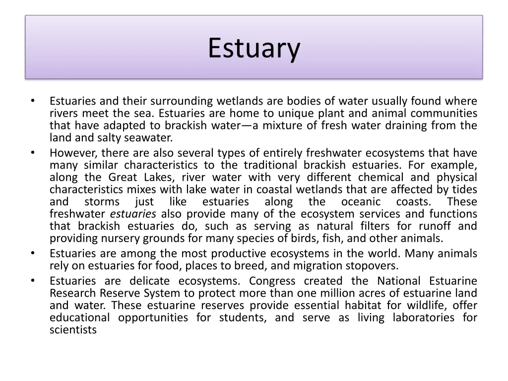 estuary