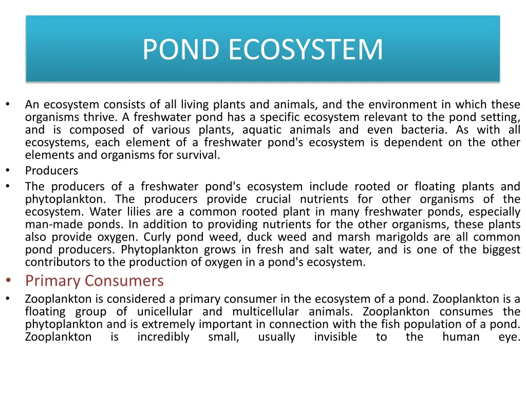 pond ecosystem