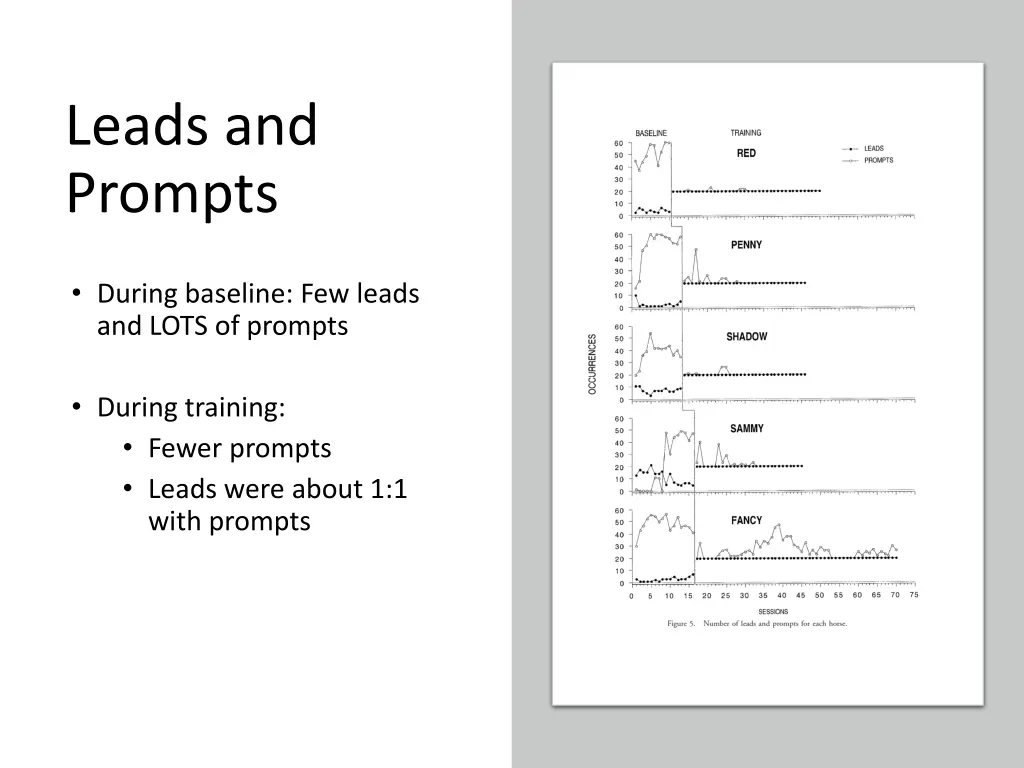 leads and prompts
