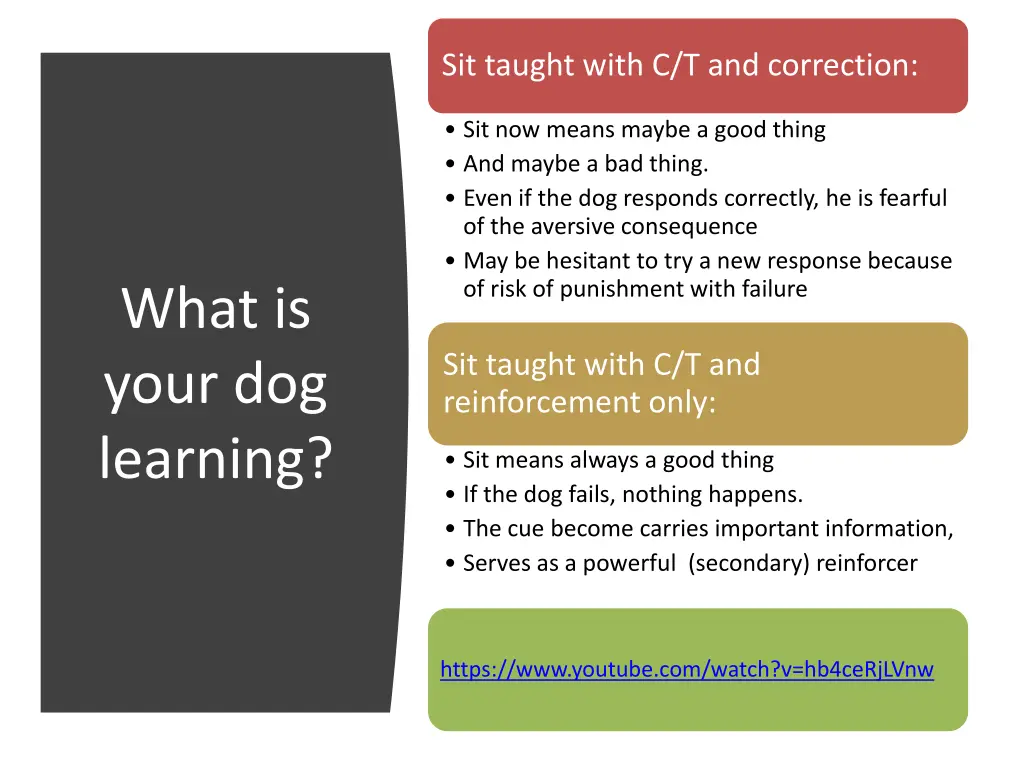 sit taught with c t and correction