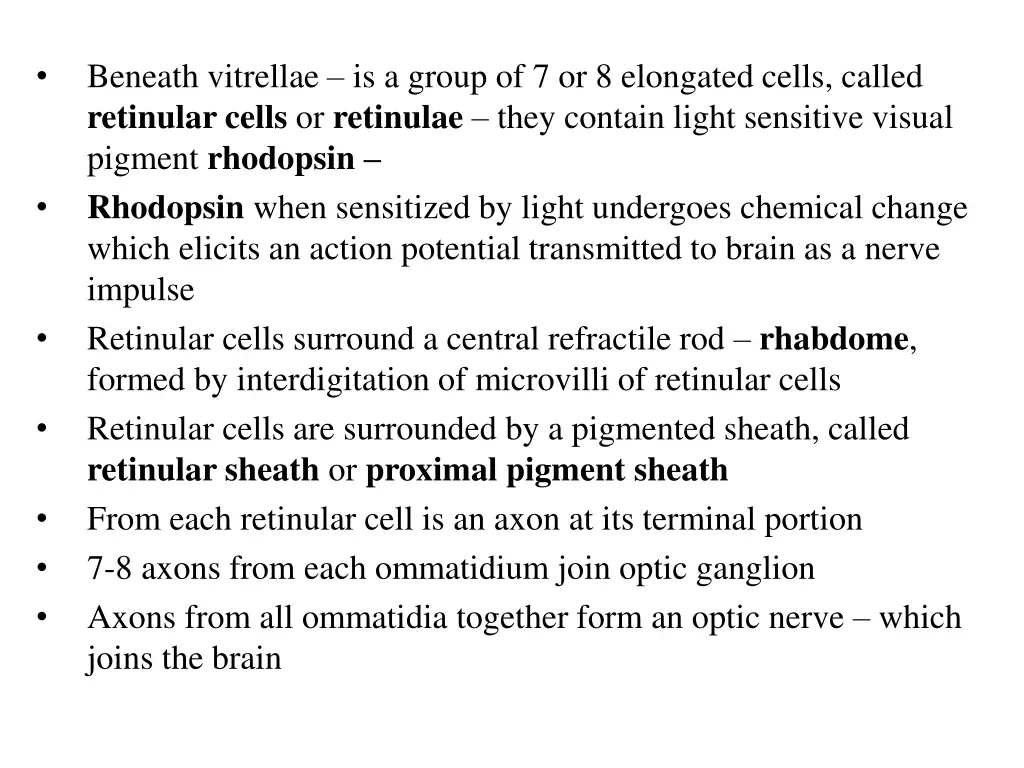 beneath vitrellae is a group of 7 or 8 elongated