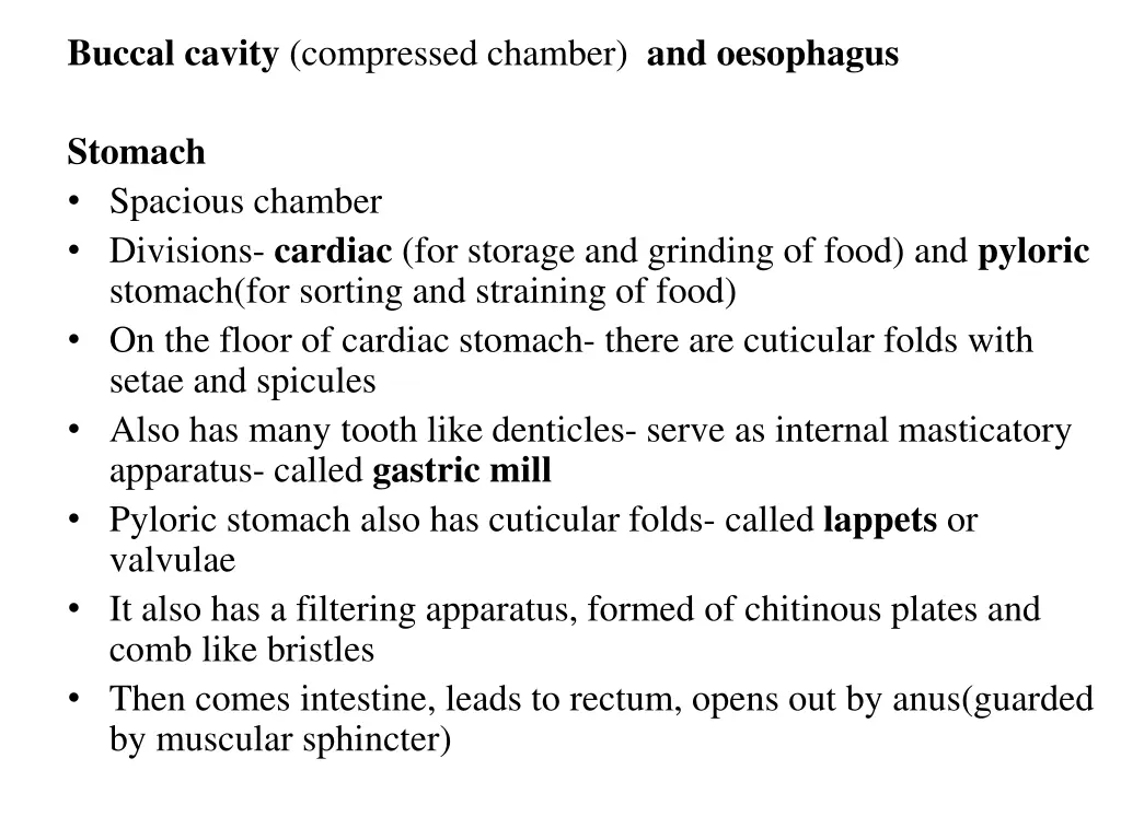 buccal cavity compressed chamber and oesophagus