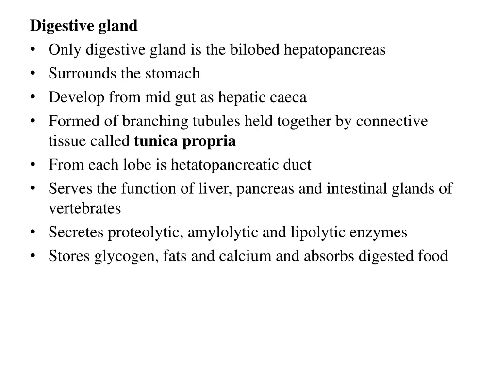 digestive gland only digestive gland