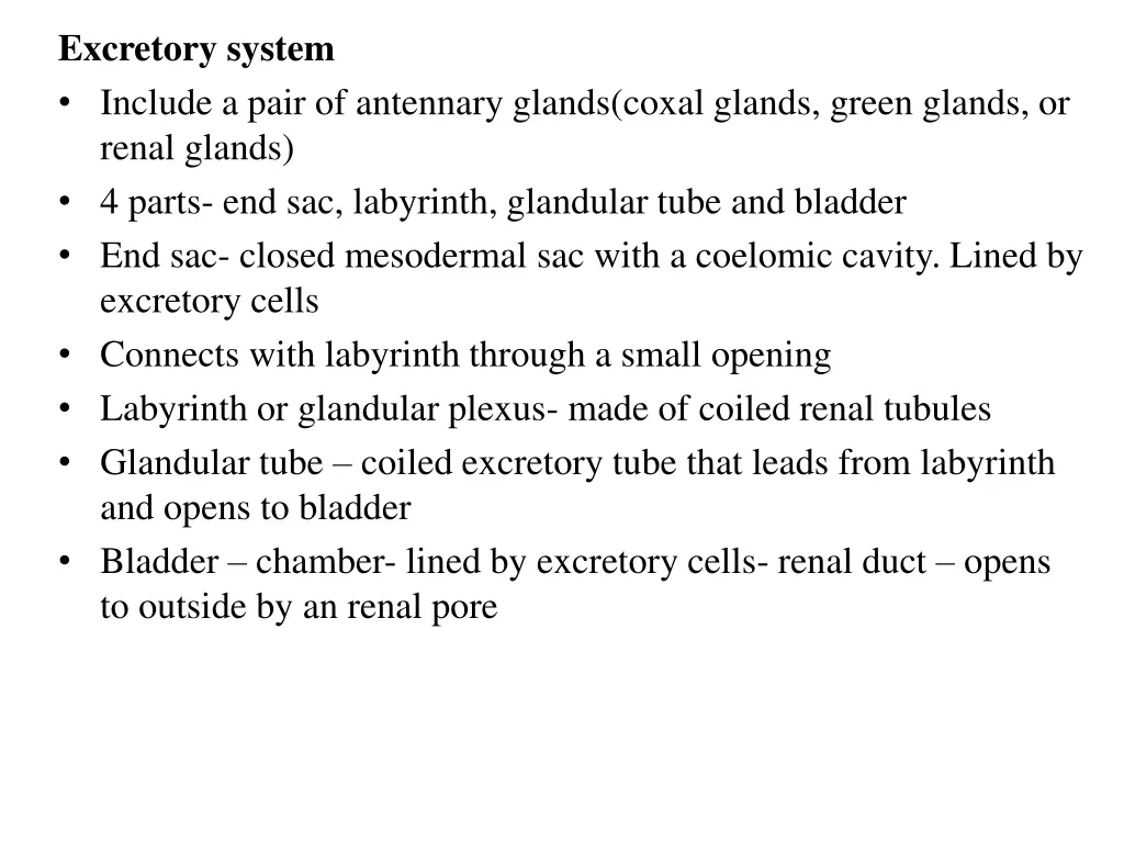 excretory system include a pair of antennary