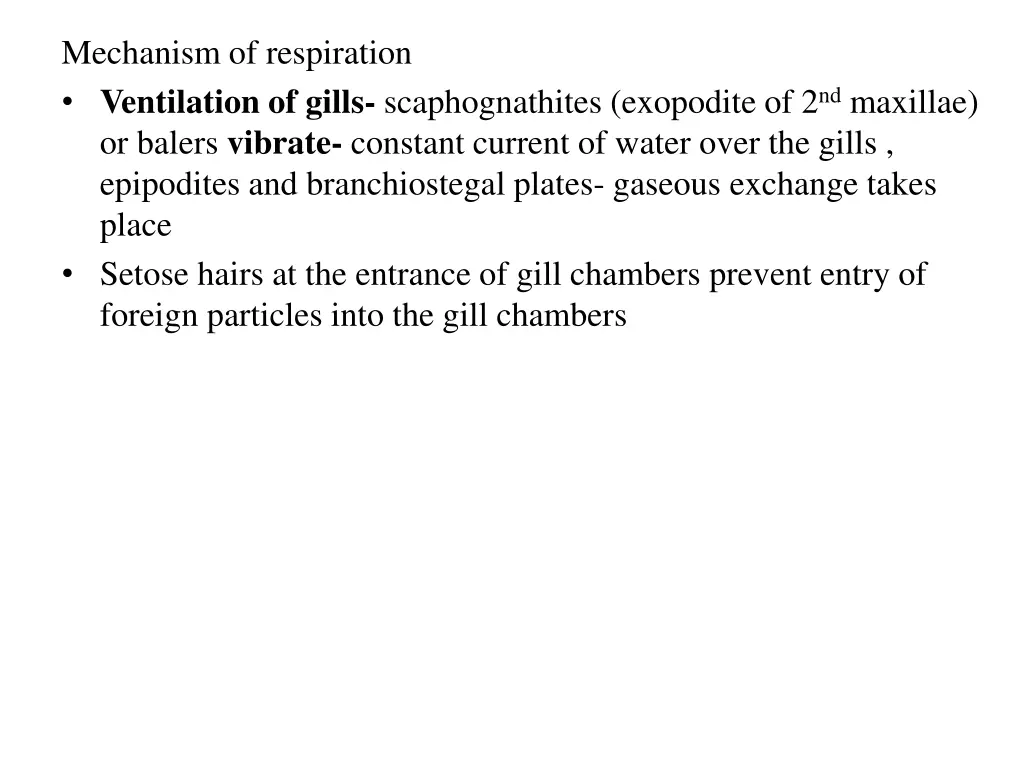 mechanism of respiration ventilation of gills