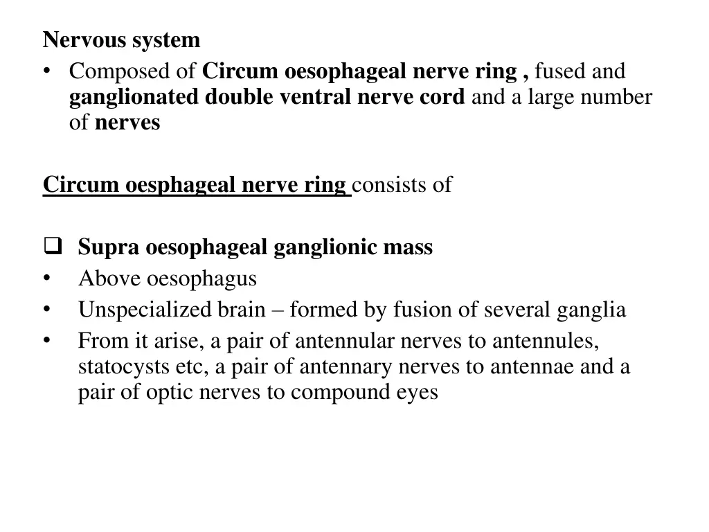 nervous system composed of circum oesophageal