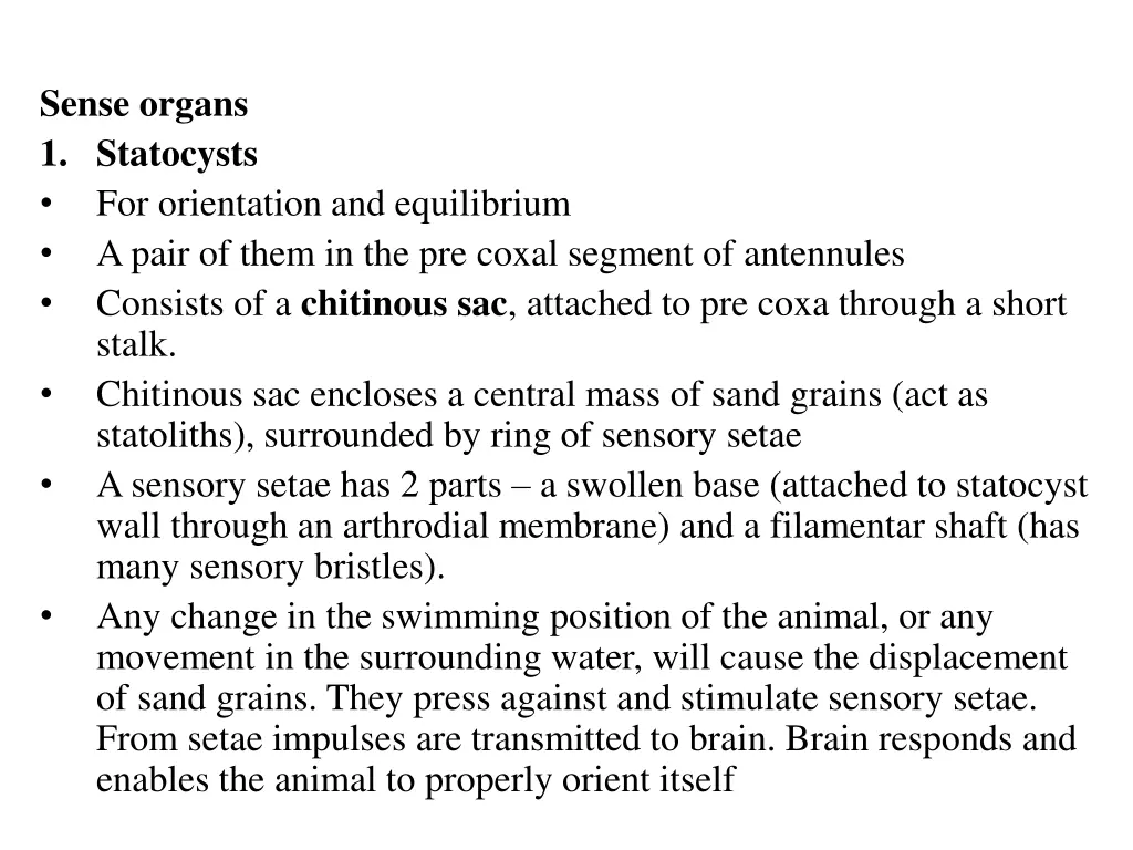 sense organs 1 statocysts for orientation