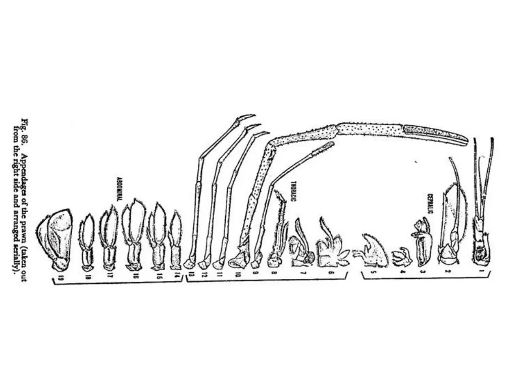 slide11