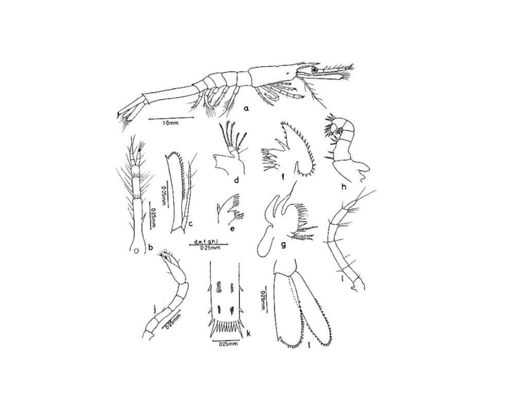 slide12