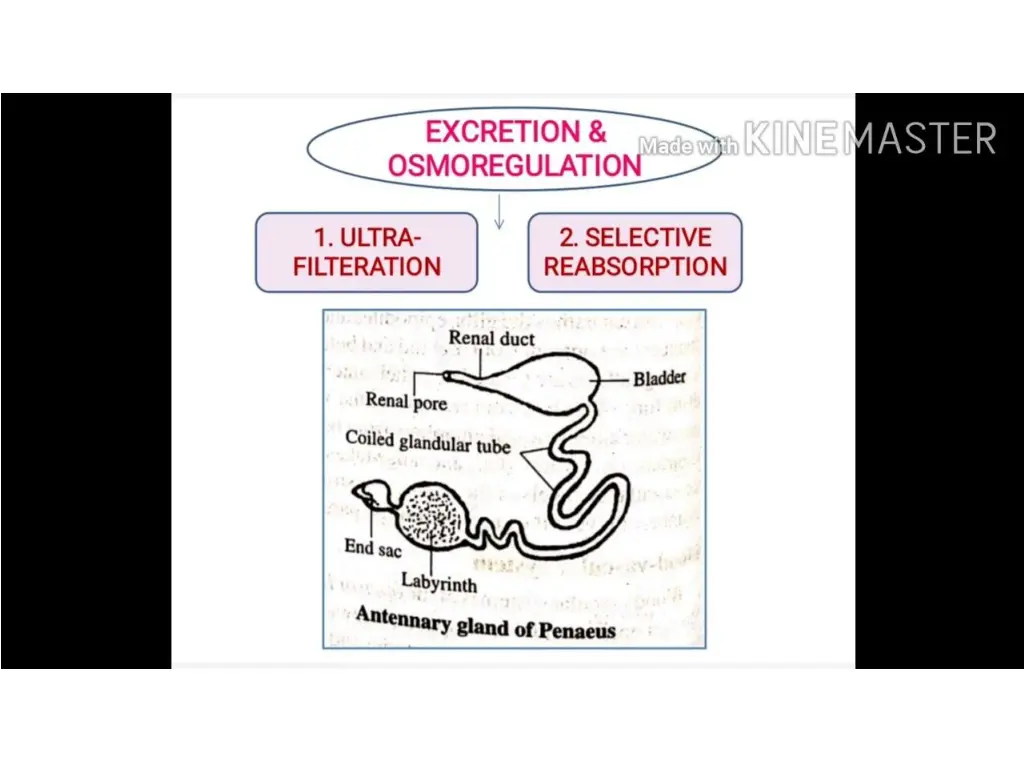 slide26
