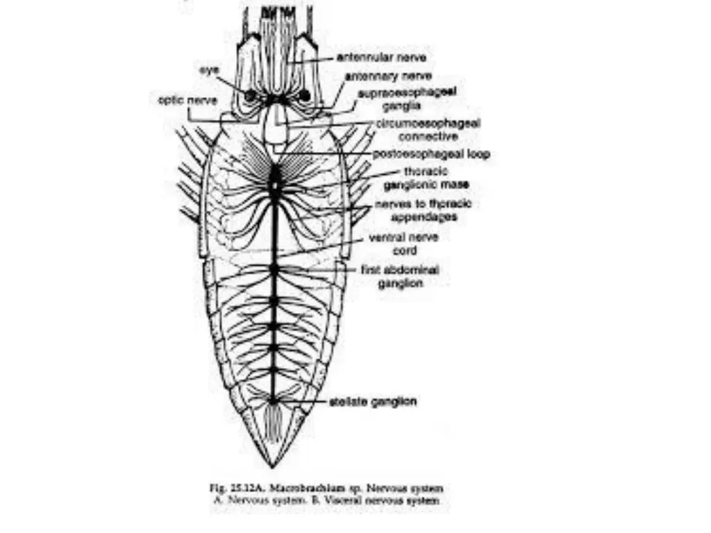 slide30