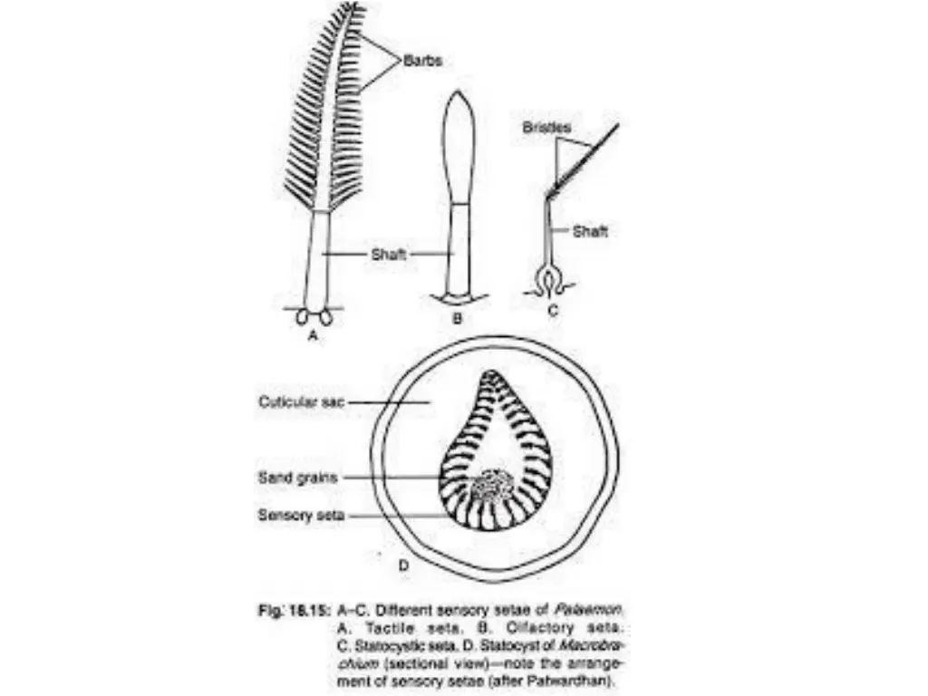 slide34