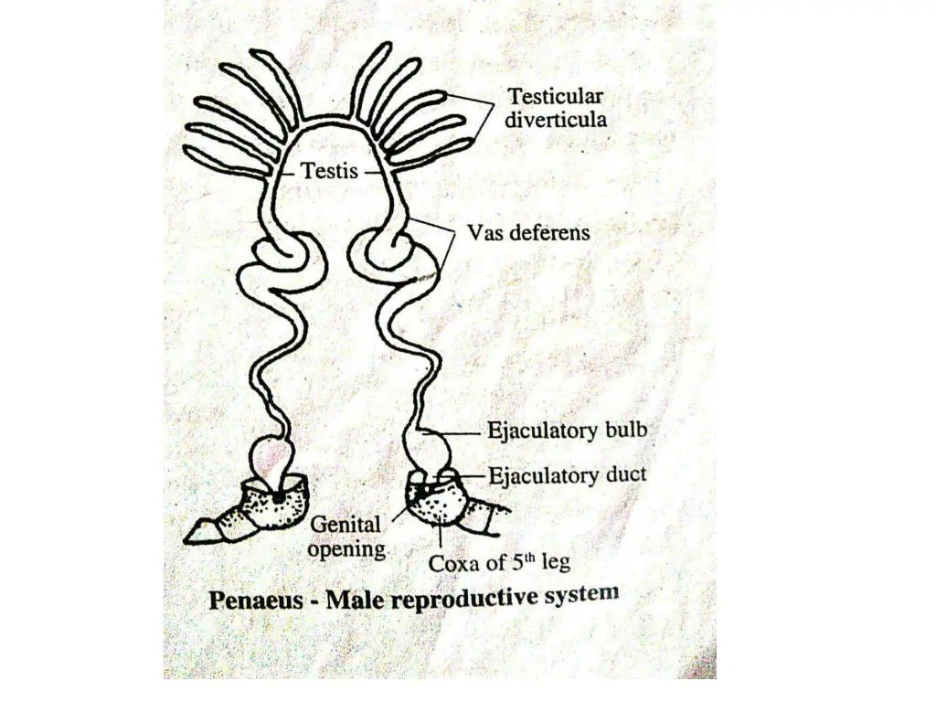 slide44