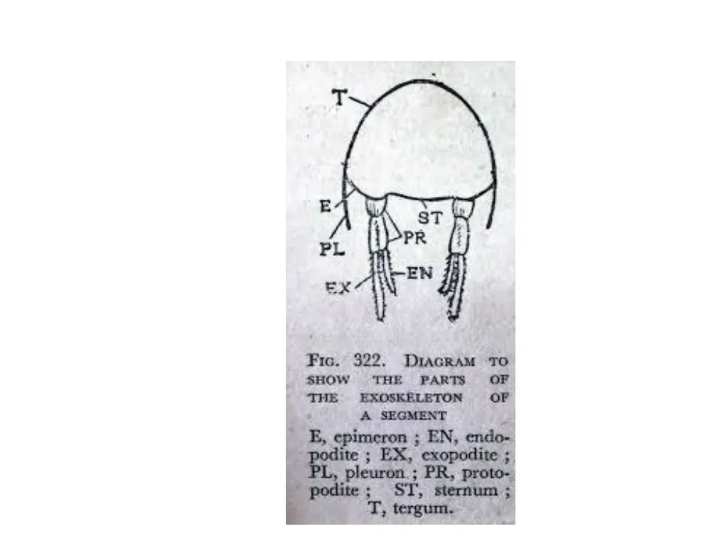 slide5